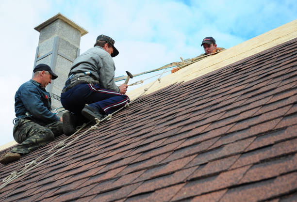 Best Metal Roofing Contractor  in Vicksburg, MS